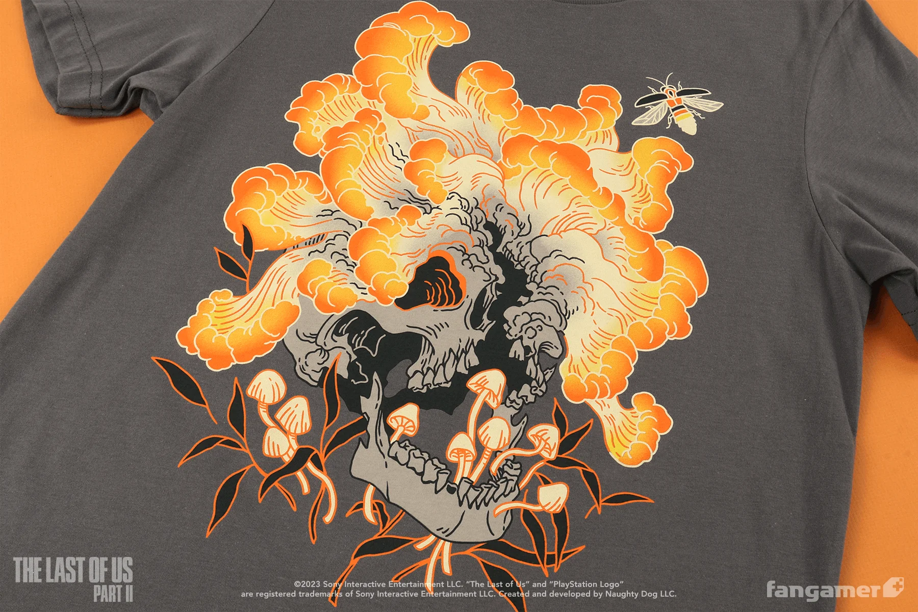 Cordyceps - Image 5