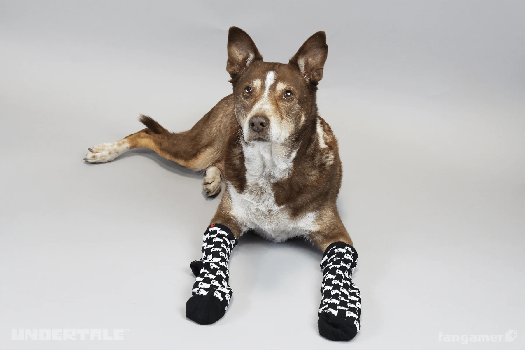 Annoying Dog Socks - Image 6